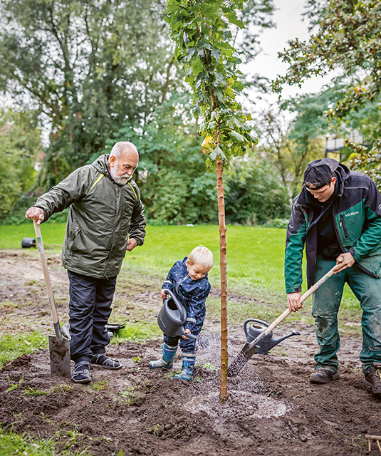 Two men and a boy planting a tree (photo)